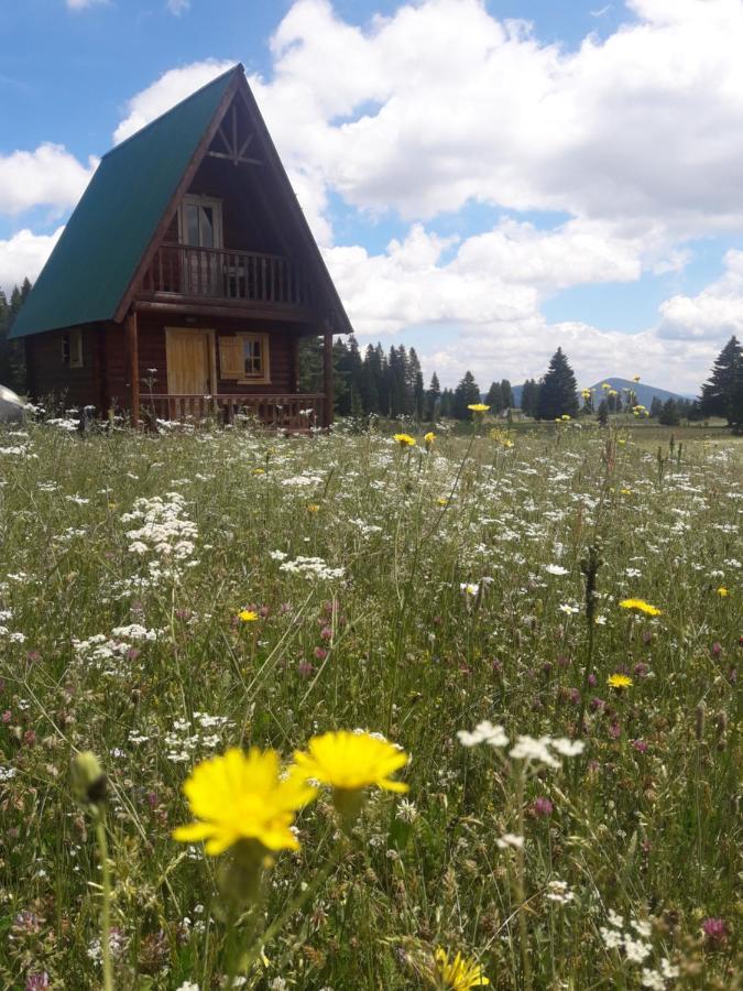 Holiday Home Jabucilo Žabljak Eksteriør billede